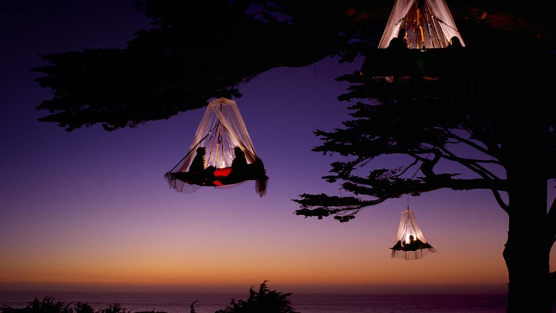 登山者在美国加州海岸的附近的树上露营