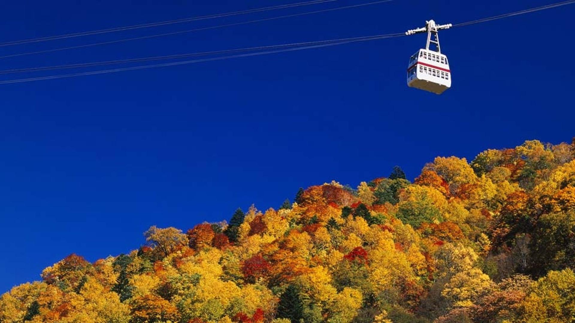 日本岐阜县的索道