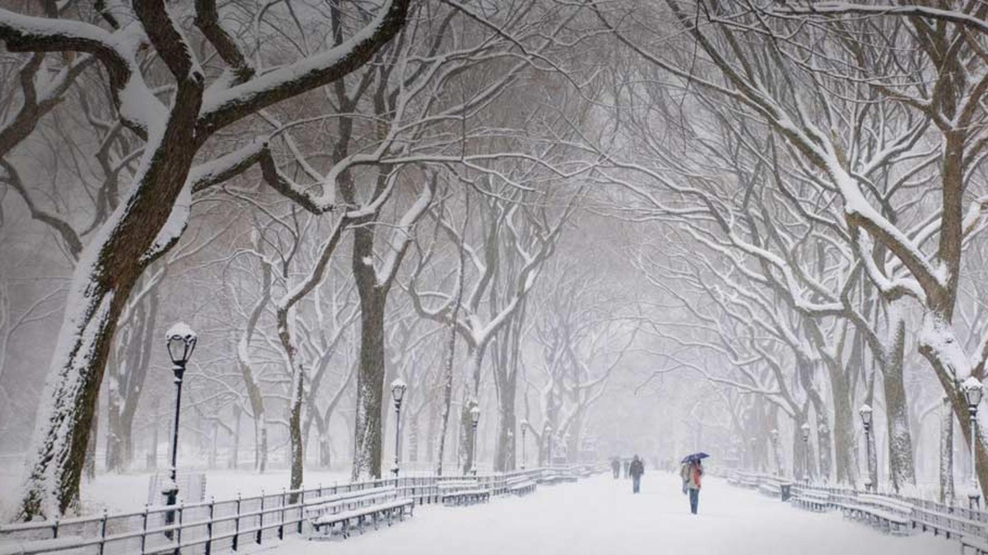 纽约中央公园的冬天