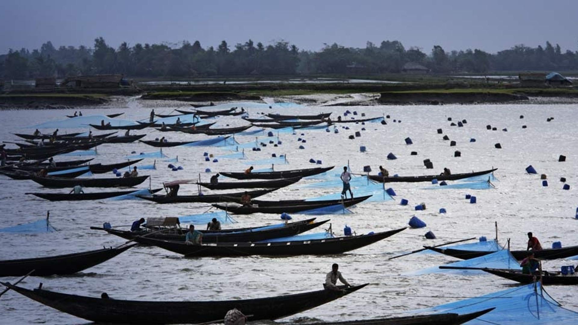 孟加拉国正在捕鱼的渔民