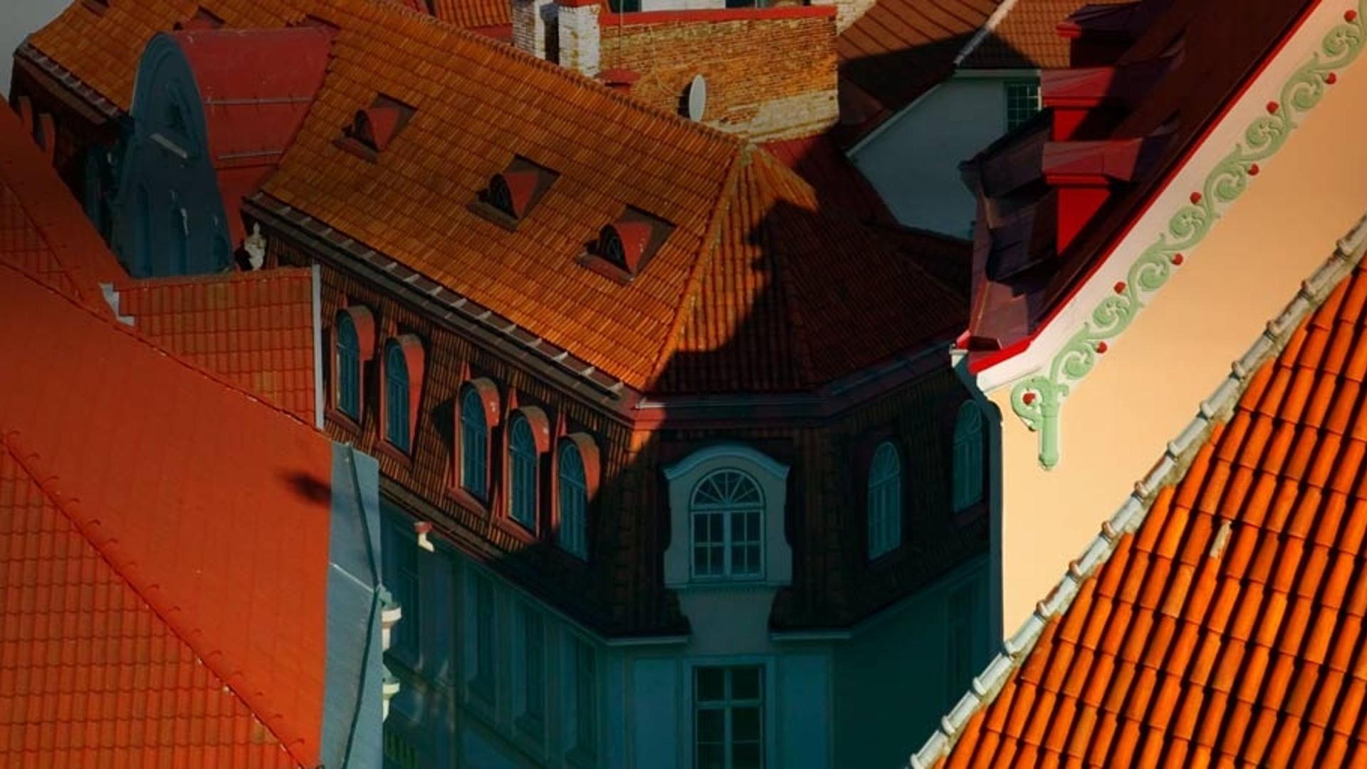 爱沙尼亚塔林的红色屋顶