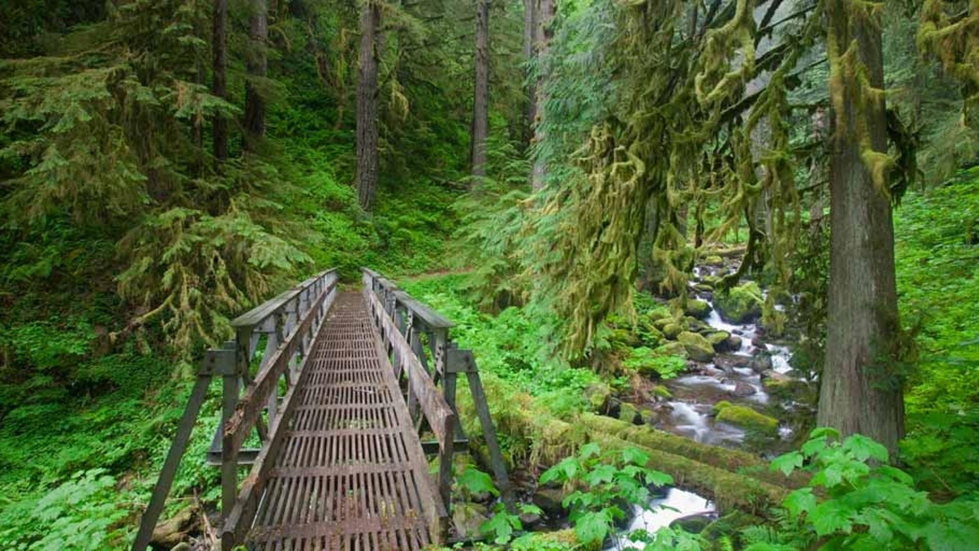 俄勒冈州的哥伦比亚河峡谷