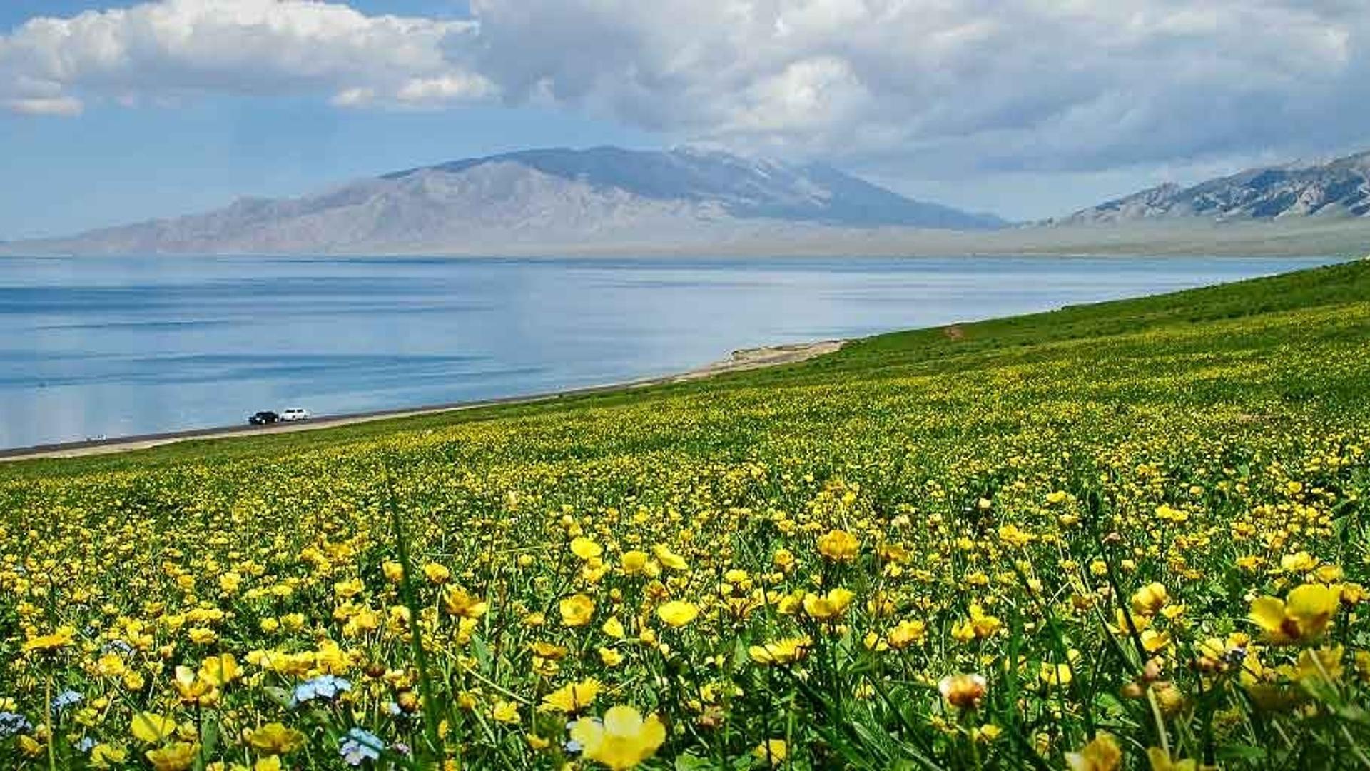 天山脚下的湖水和风光