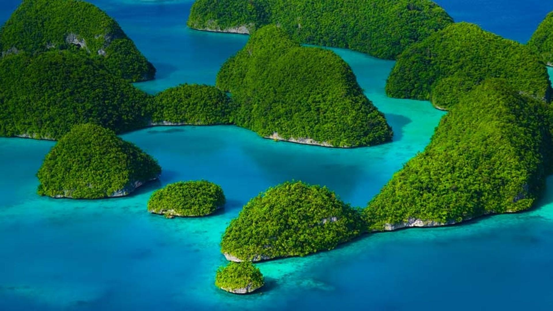 帕劳群岛的岩石岛