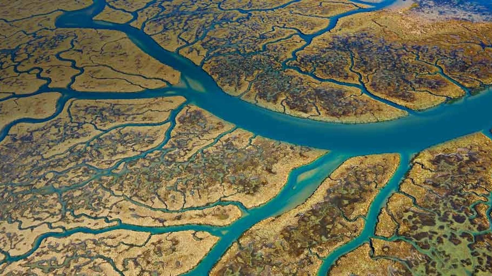 西班牙韦尔瓦省的生物圈保护区