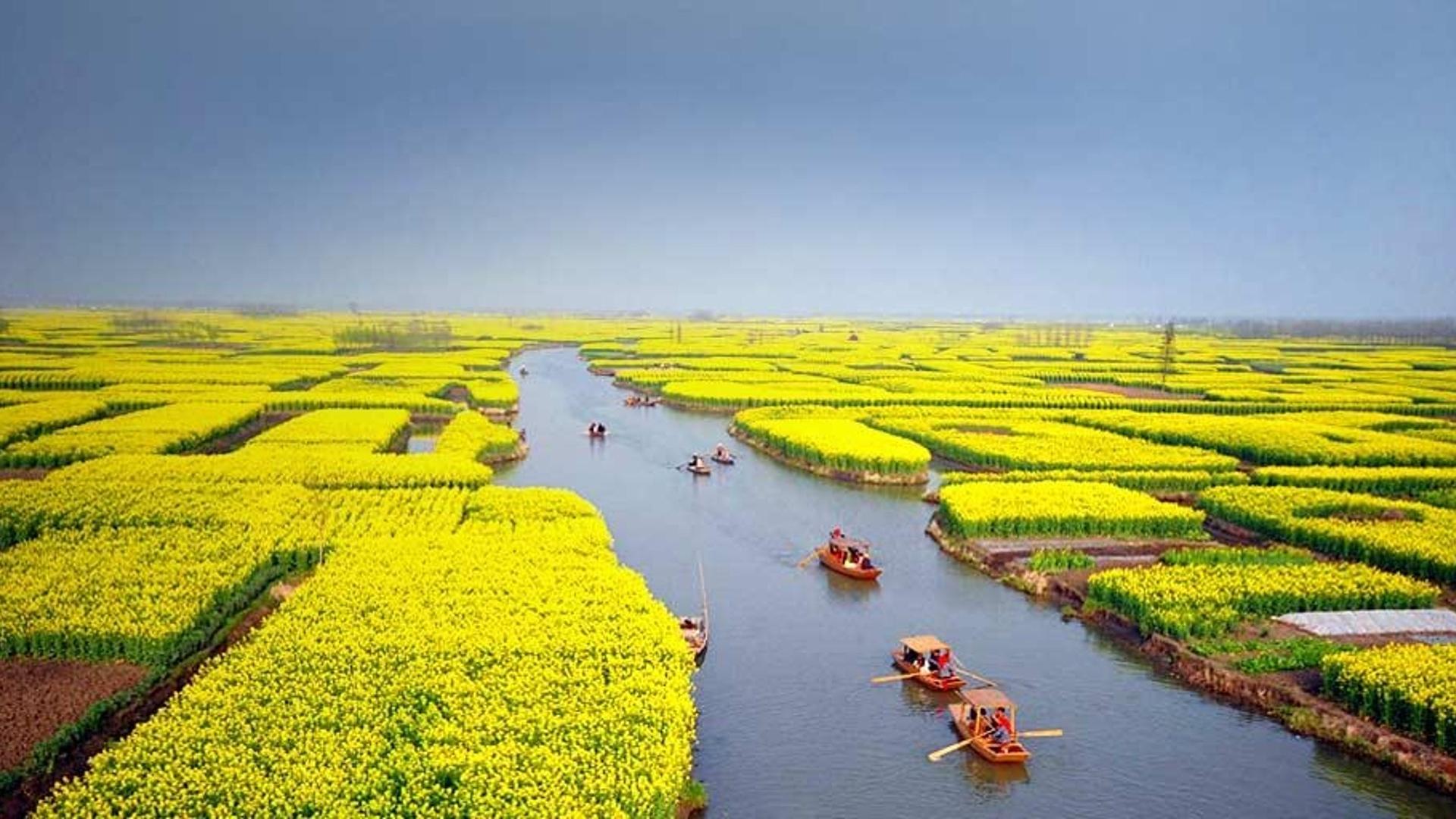 2009年4月6日，在江苏省兴化市附近乘船赏花的游人