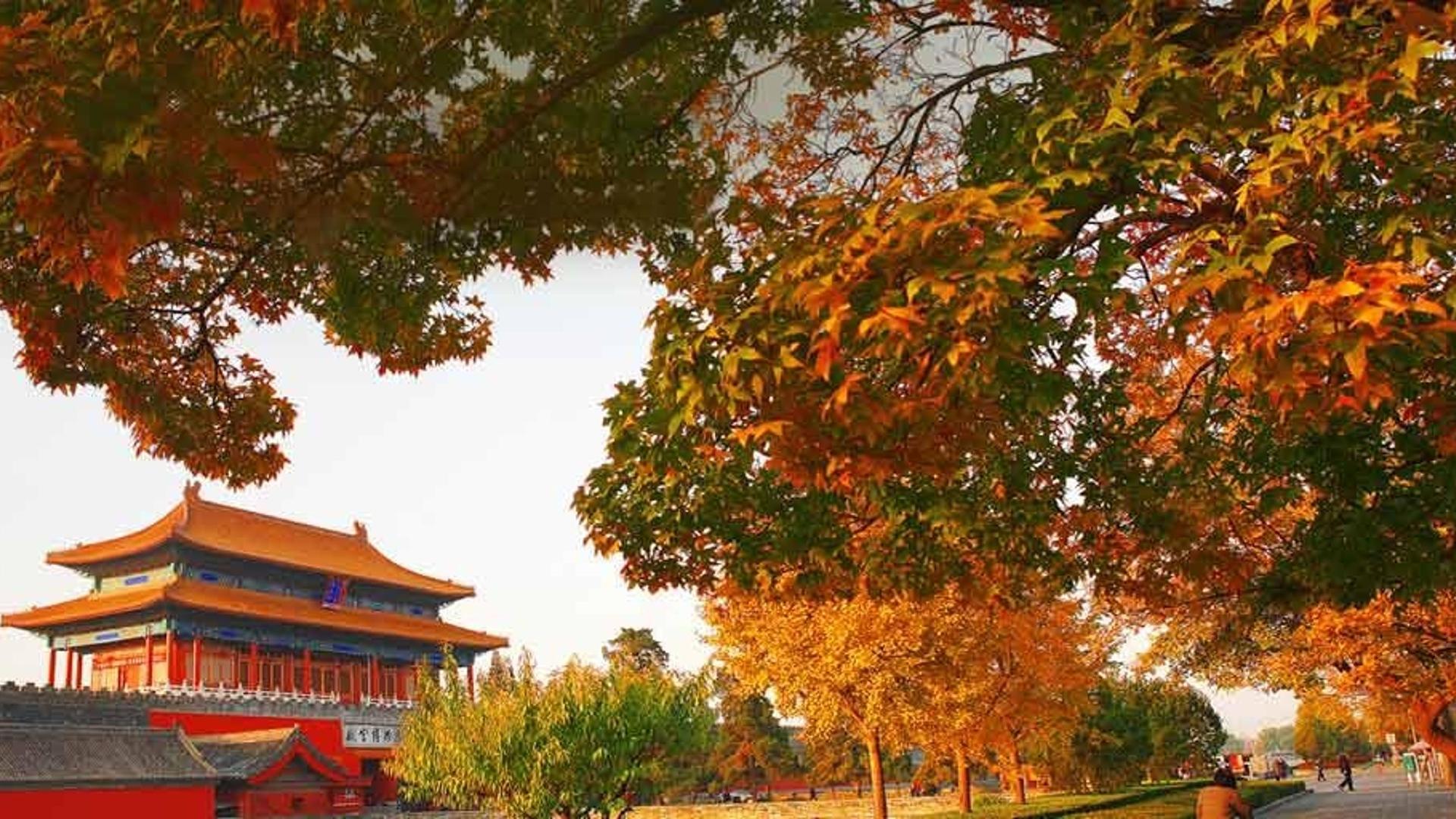 北京故宫博物院