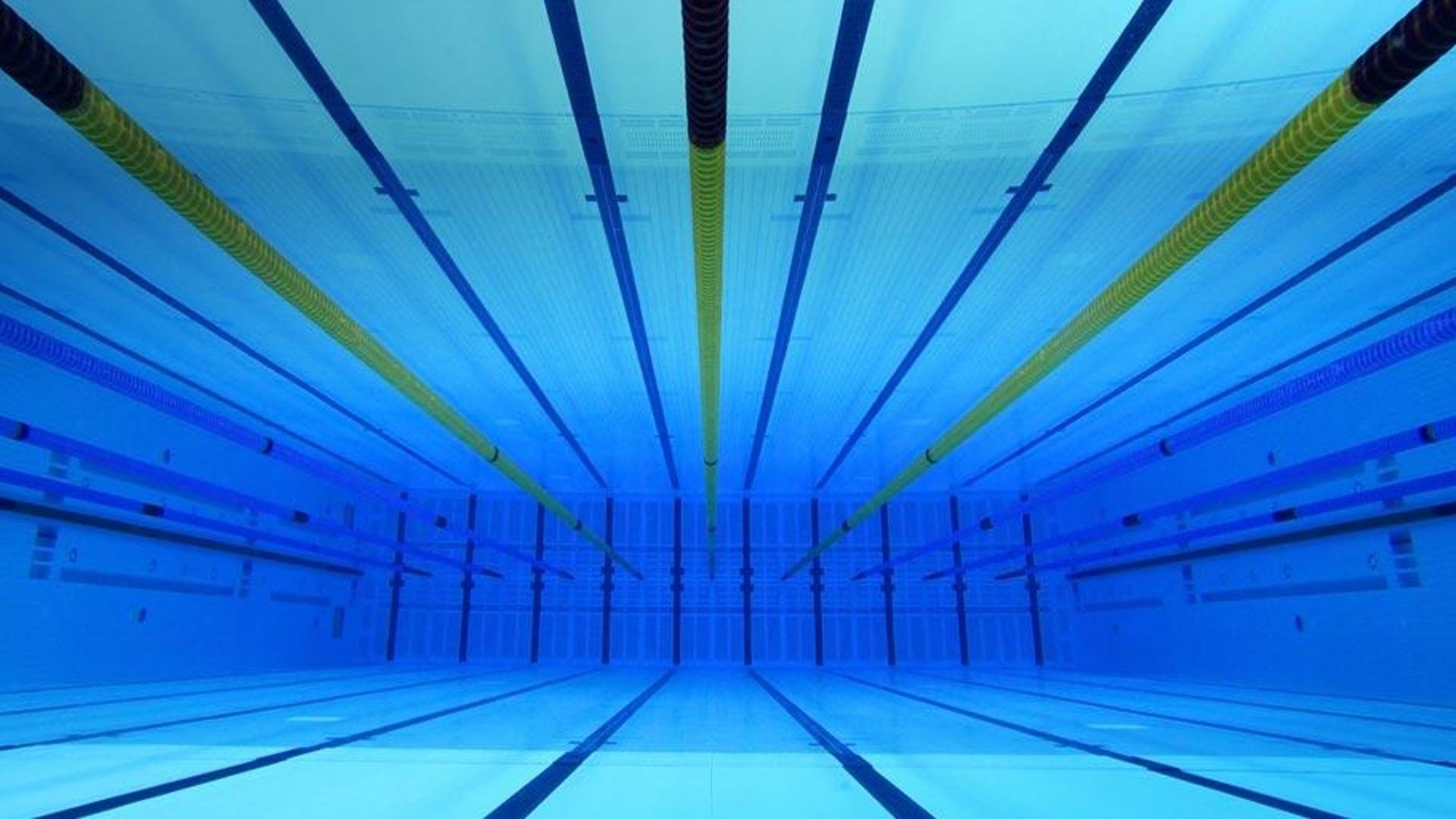 伦敦奥运会水上运动中心的游泳馆