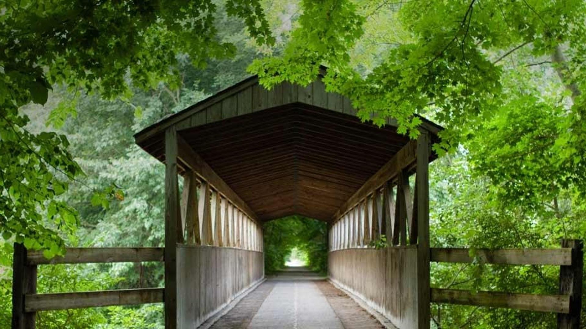 密歇根州南黑文港黑河上的廊桥