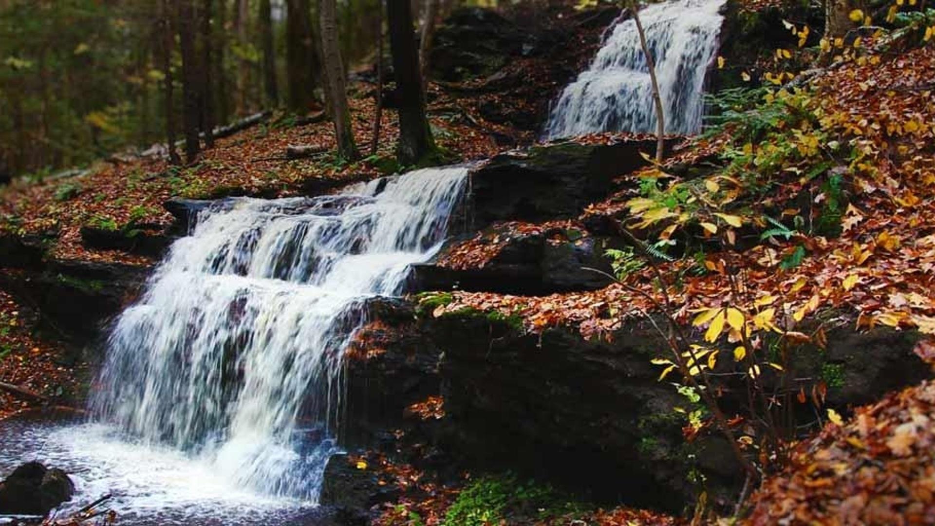 美国马萨诸塞州先驱谷地区的秋天