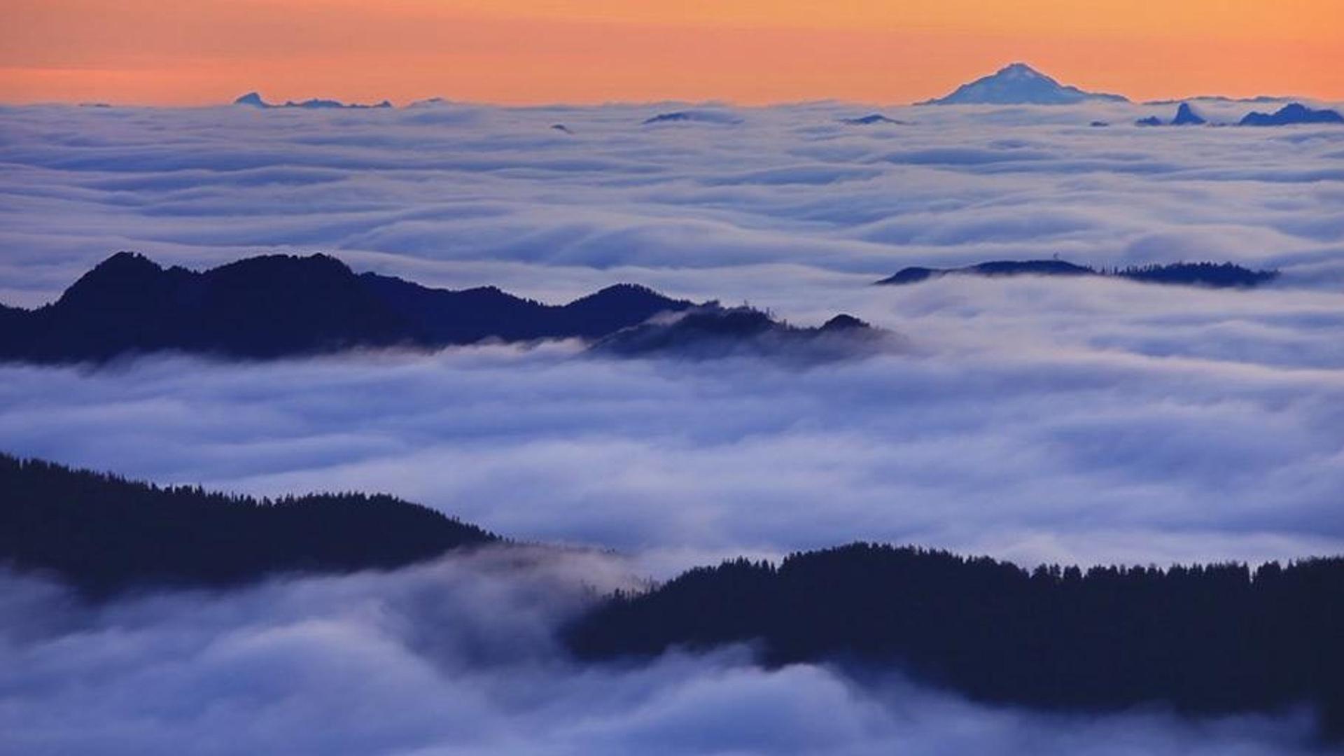 华盛顿地区雷尼尔山国家公园上空的雾
