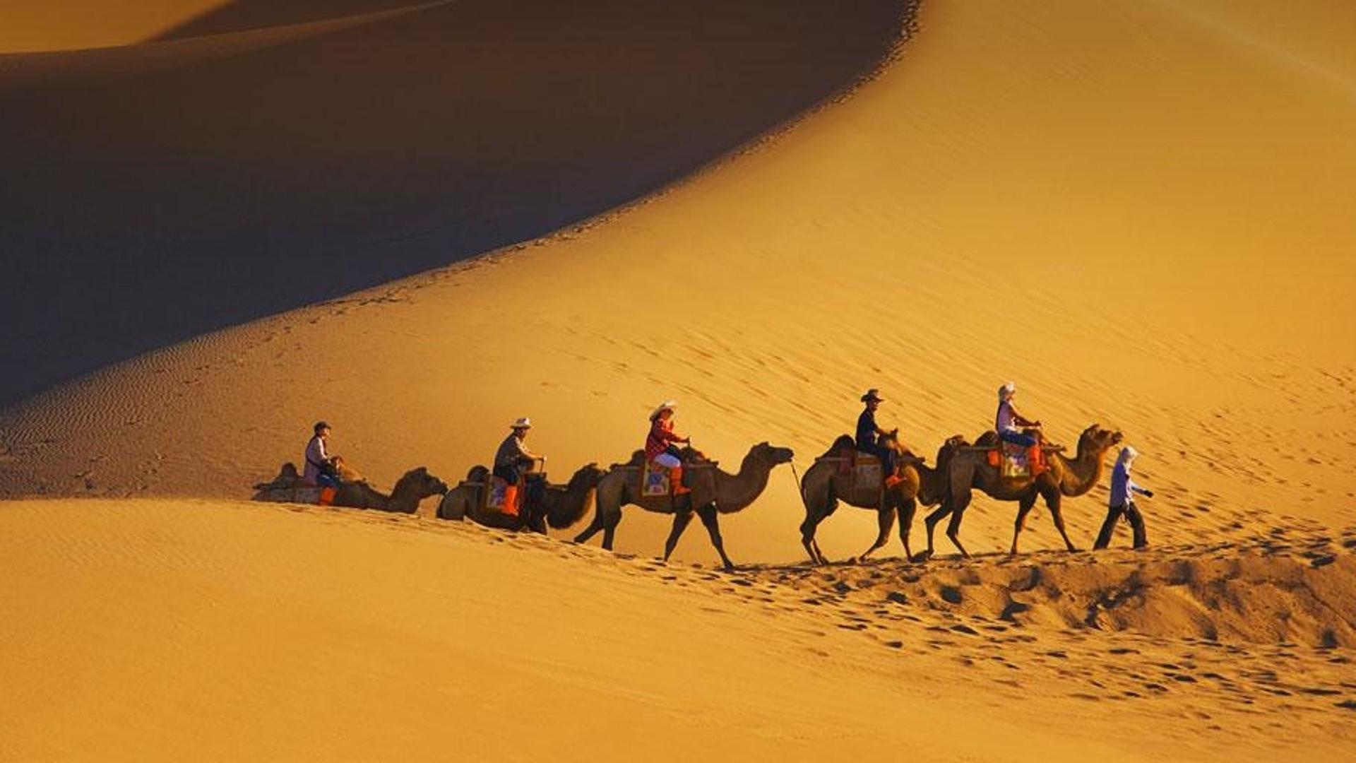 沙漠中的骆驼队