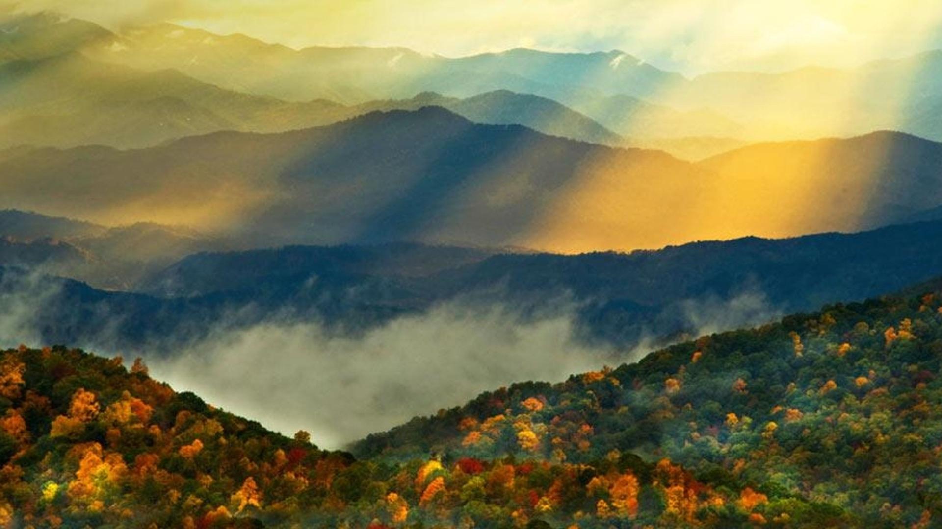 美国北卡罗来纳州大雾山国家公园的秋天