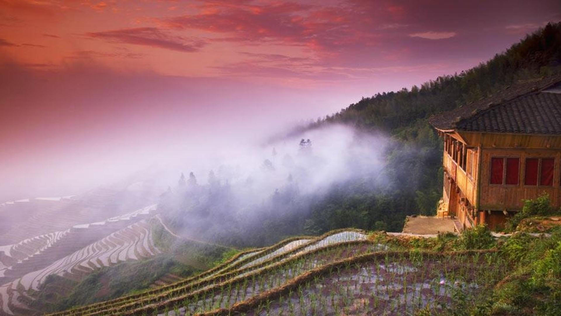 拂晓时分薄雾笼罩下的梯田