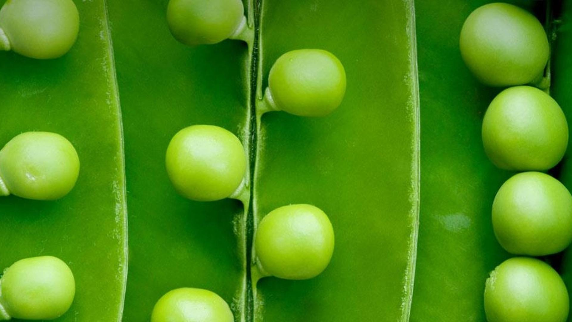 被剥开的豌豆荚