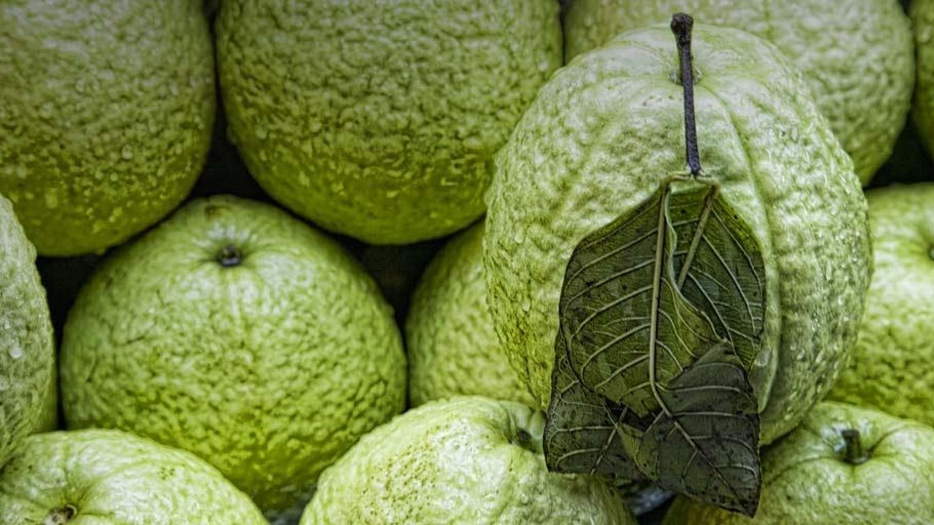 台北市场的番石榴