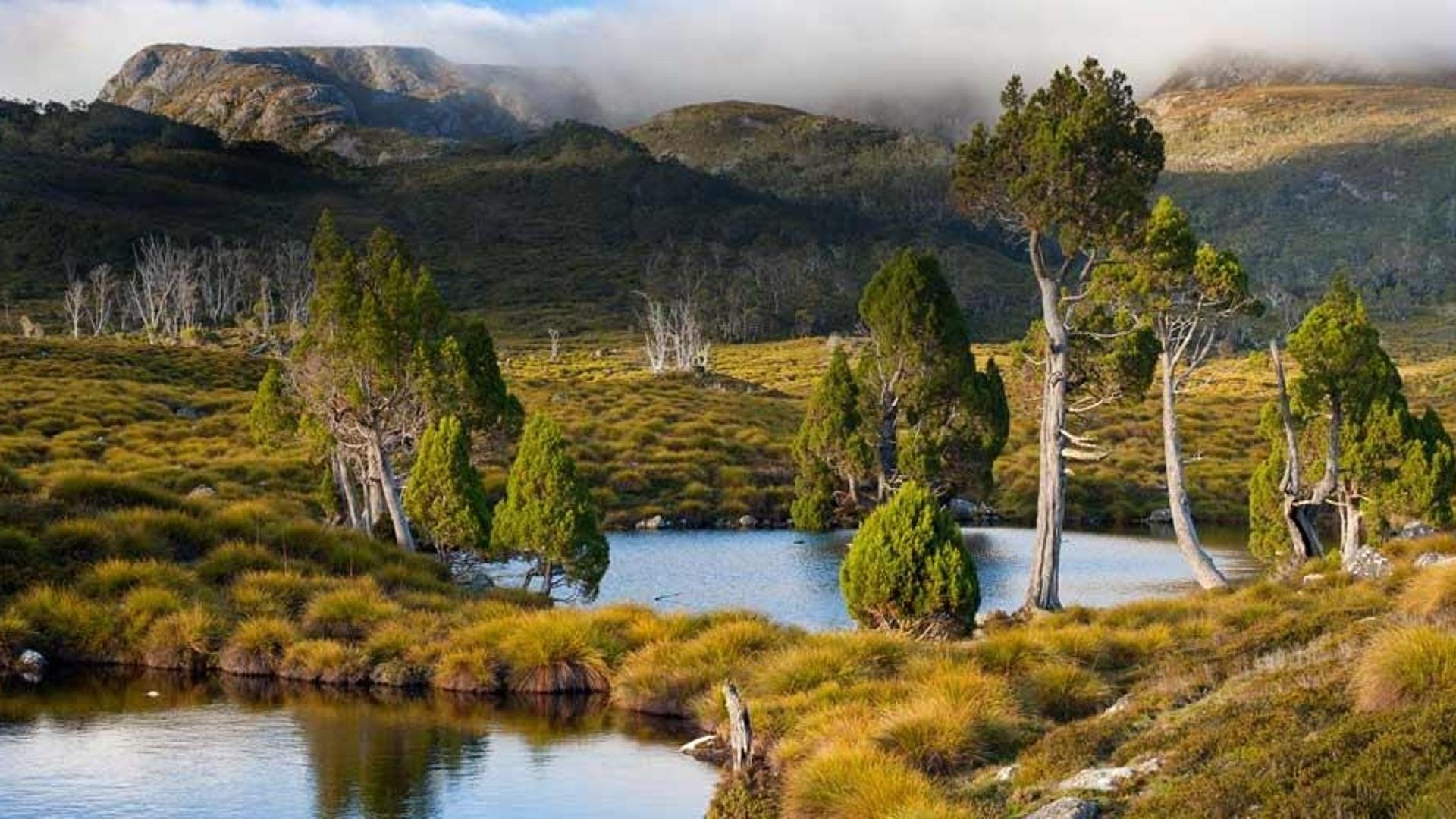 澳大利亚塔斯马尼亚州摇篮山圣克莱尔湖国家公园