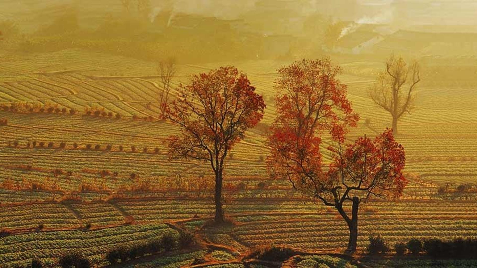 安徽古徽州区域，阳光下的村庄