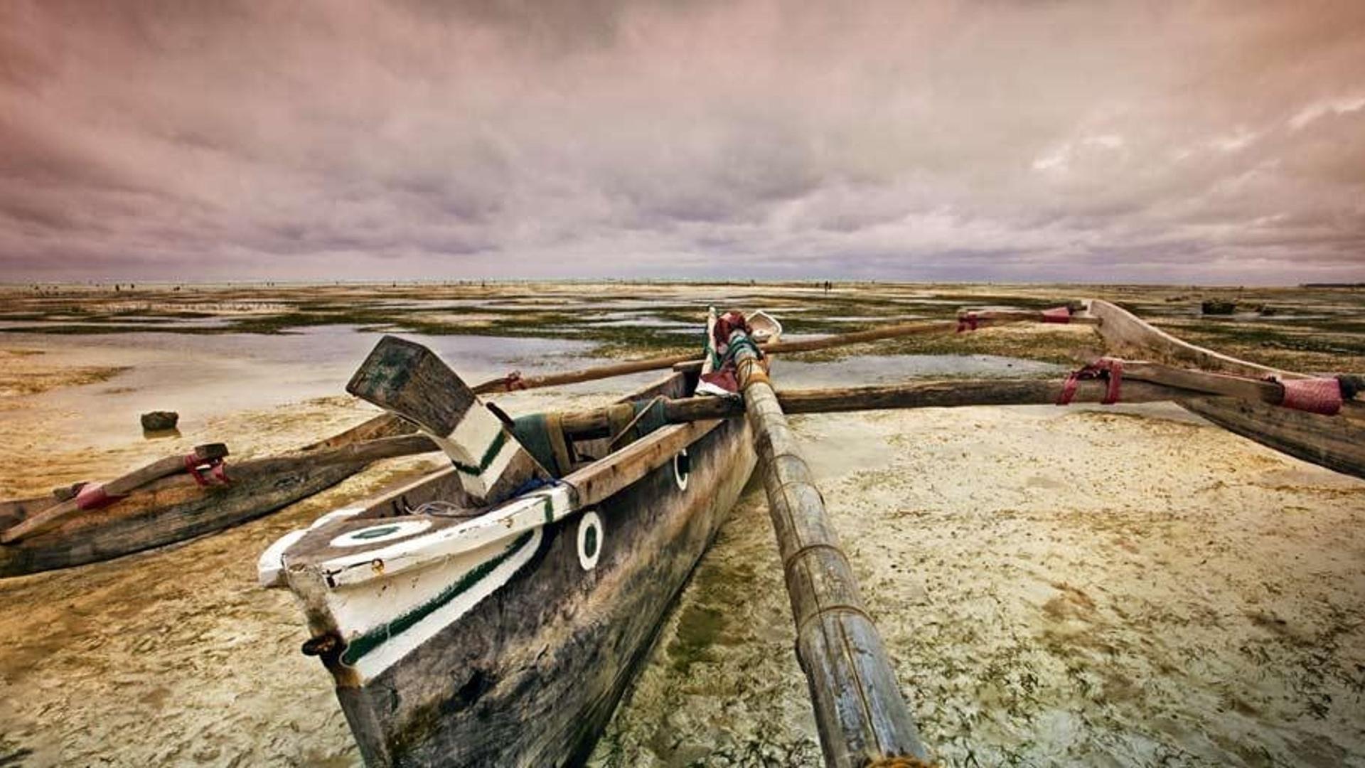 坦桑尼亚桑给巴尔岛的海滩