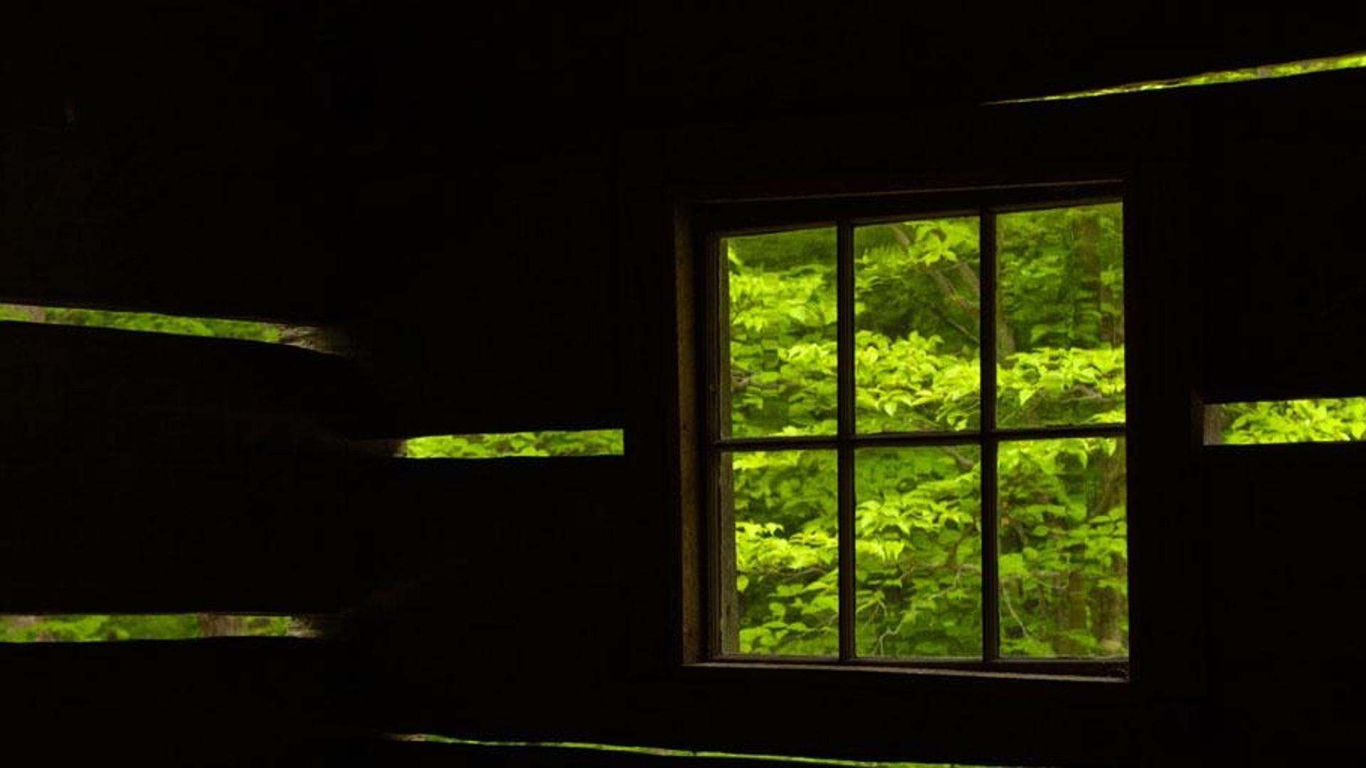 美国田纳西州大烟山国家公园，亚历克斯科尔的小屋