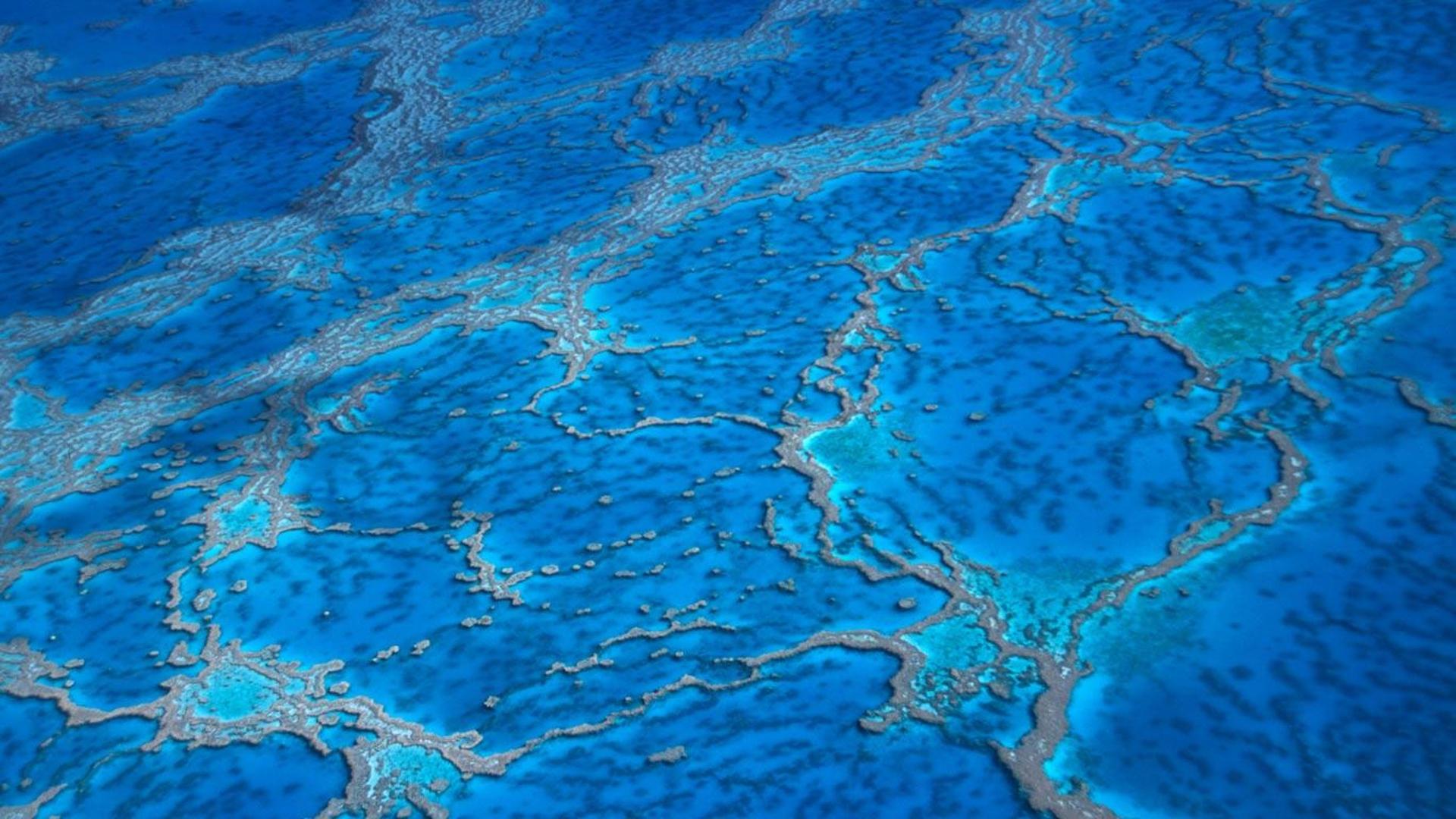 鸟瞰澳大利亚昆士兰州大堡礁