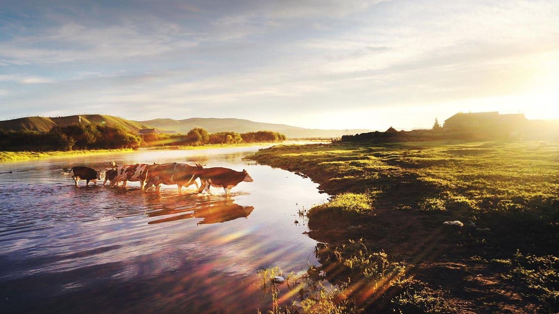 内蒙古自治区清晨的第一道曙光