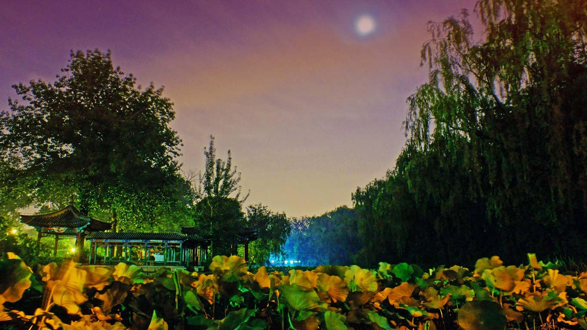 北京清华大学校内的近春园