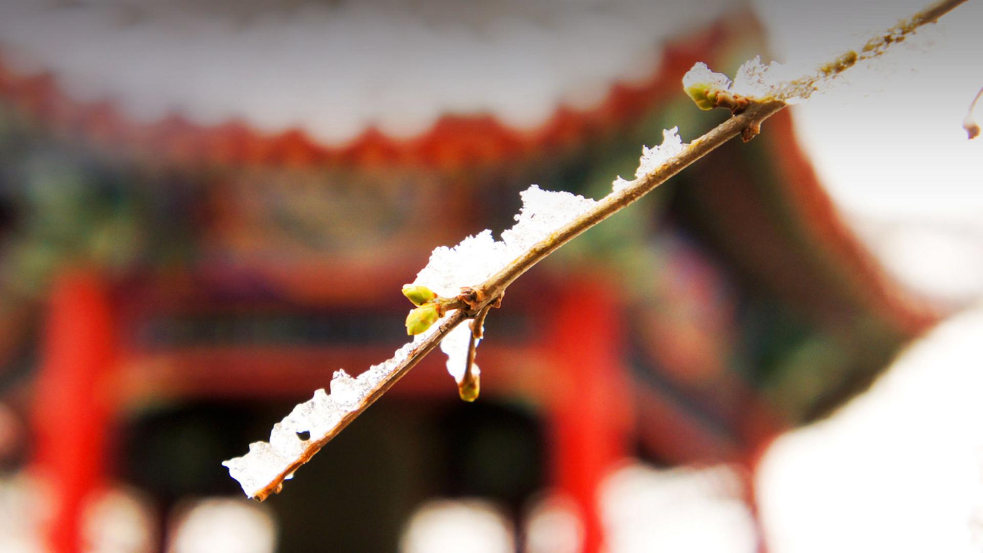 清华大学闻亭小雪
