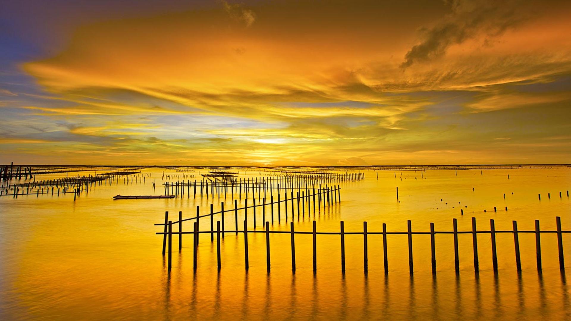 台湾台南七股泻湖