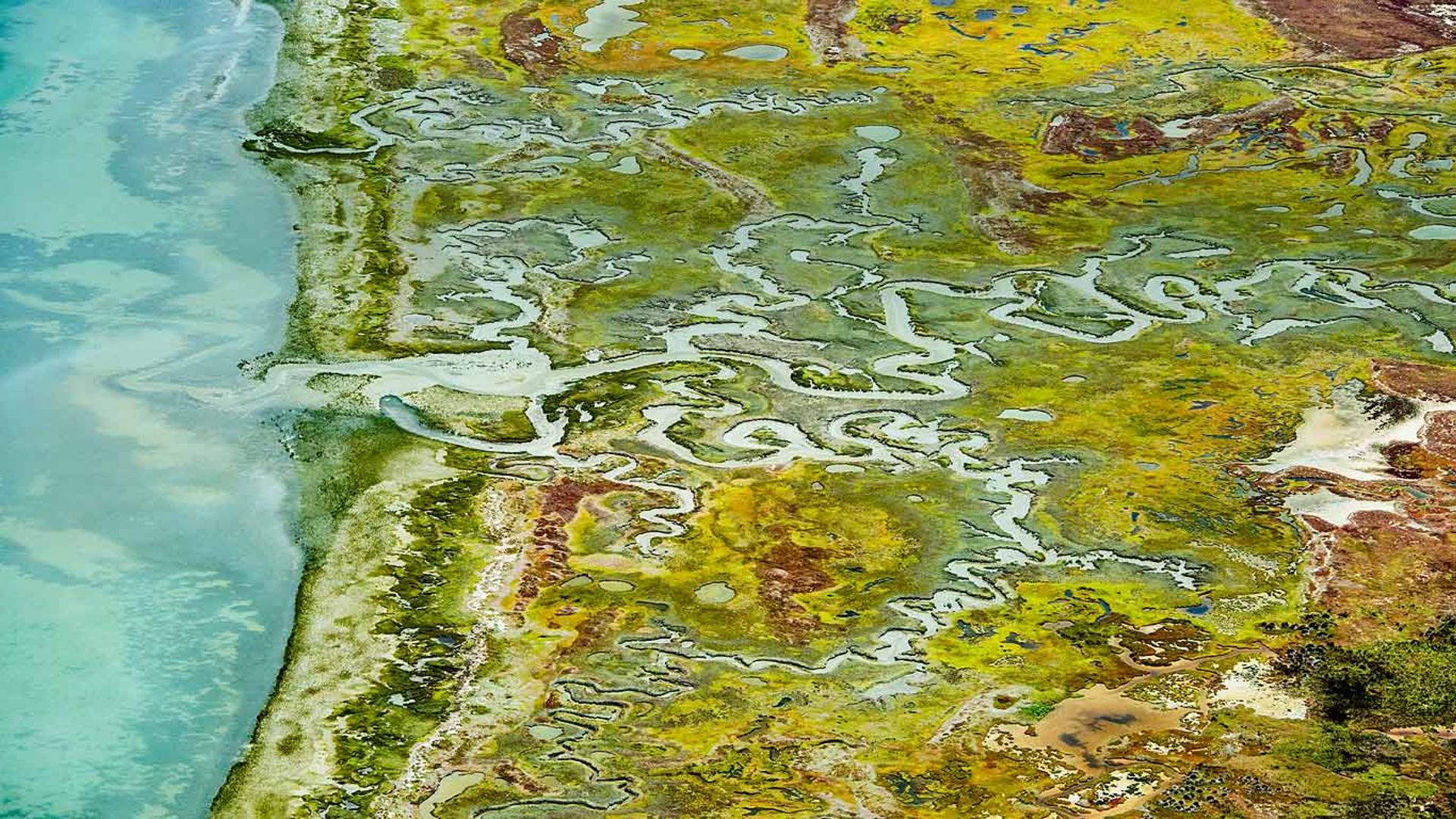 南非西海岸国家公园，兰格班泻湖