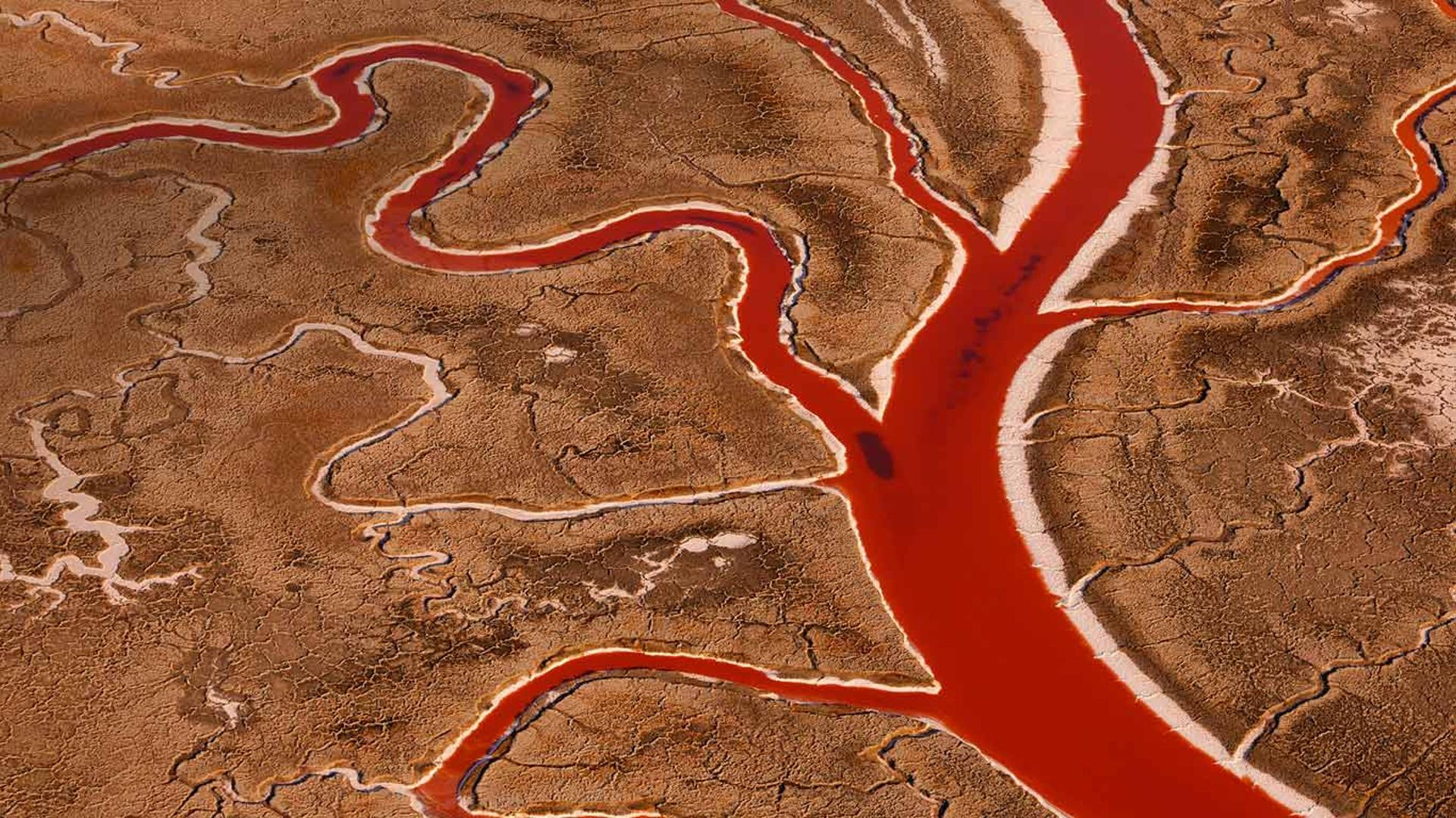 美国加州旧金山湾，盐沼