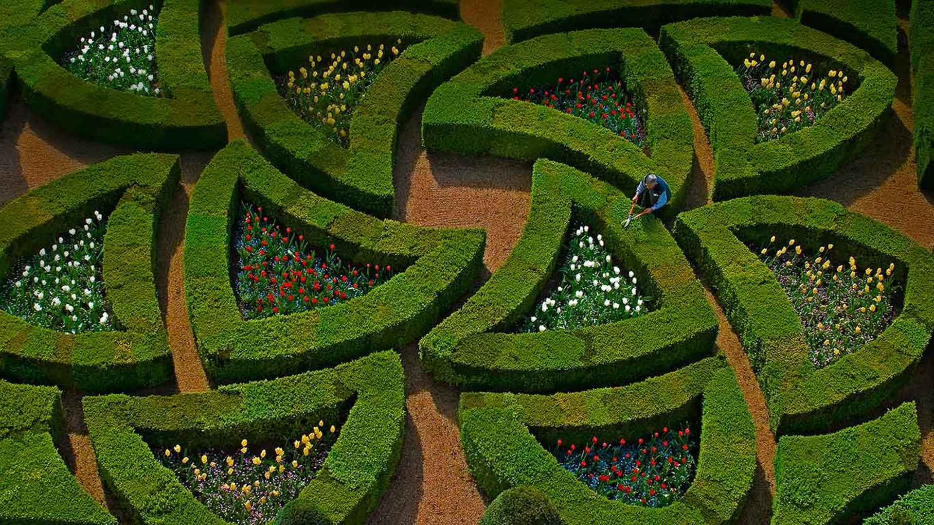 法国卢瓦尔河谷，维兰德里城堡的花园