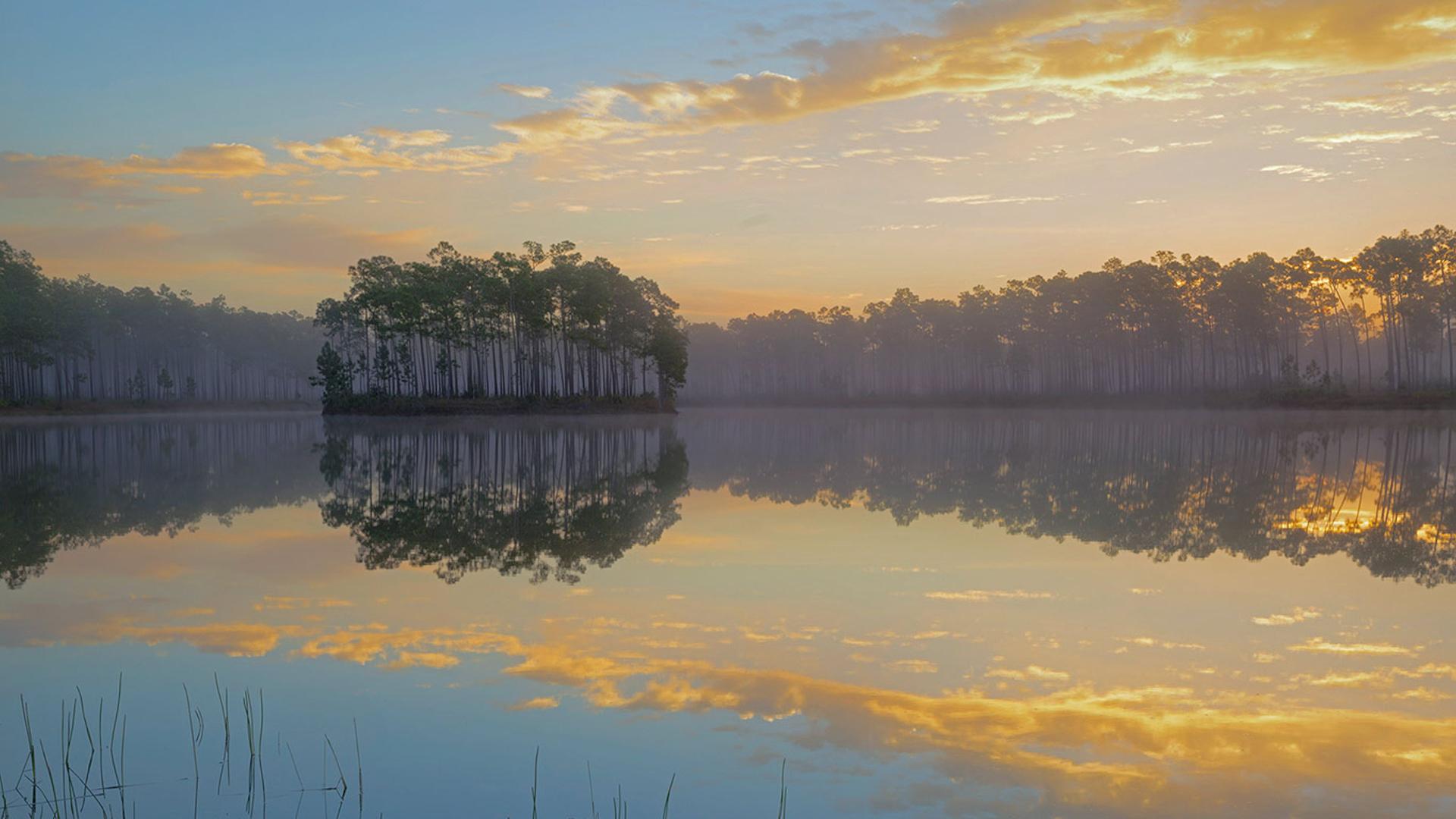 美国，佛罗里达州，大沼泽地国家公园的长礁岛