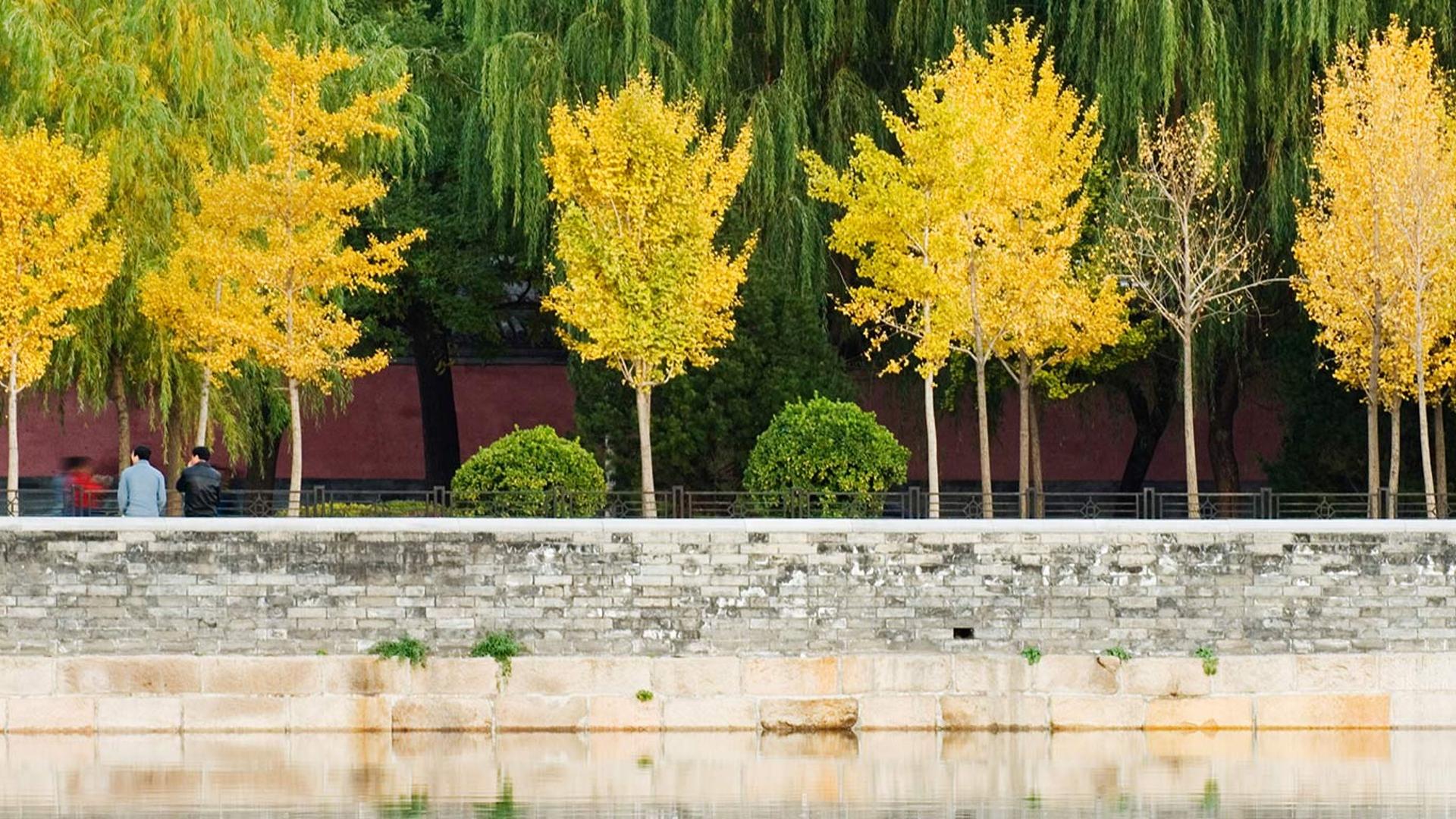 中国，北京，秋色映在紫禁城的护城河中