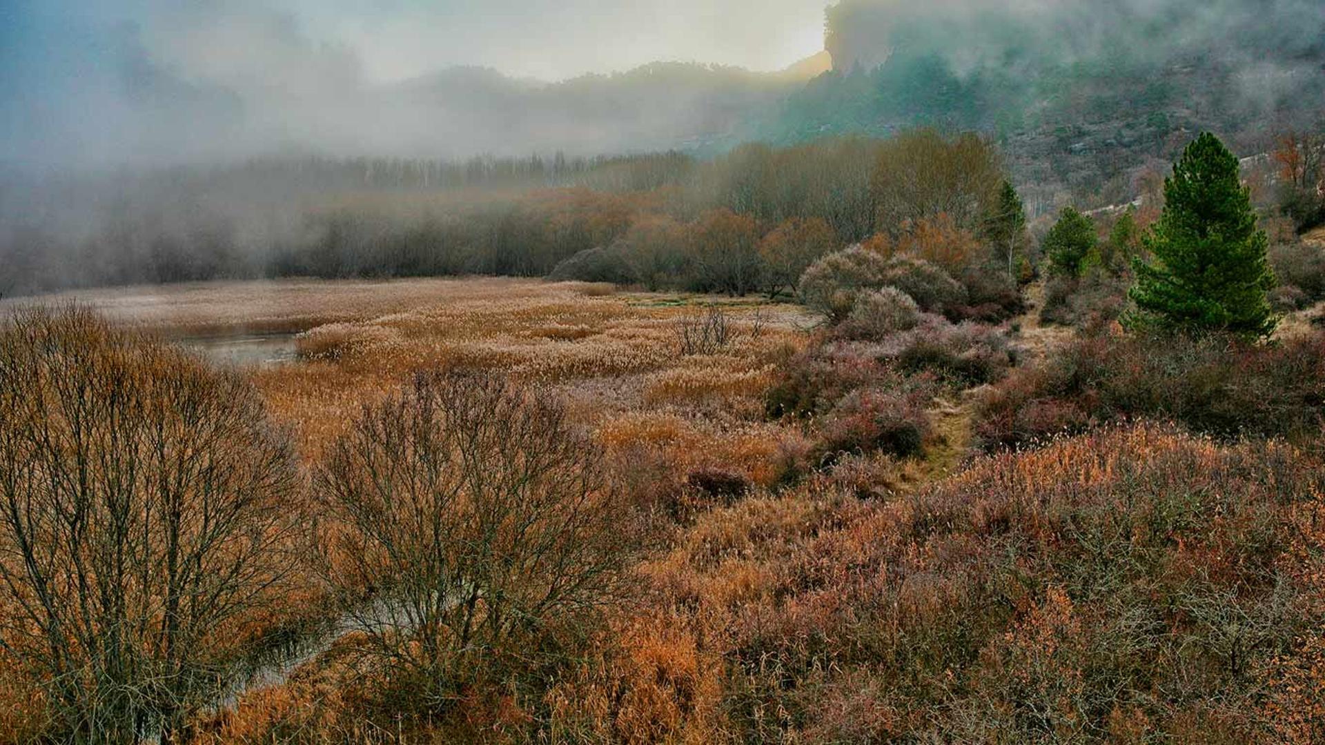 西班牙，靠近昆卡的潟湖