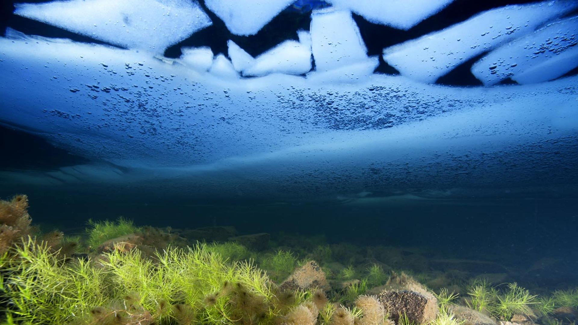 英国，雪墩山，丽茵 埃德沃尔湖面上的冰