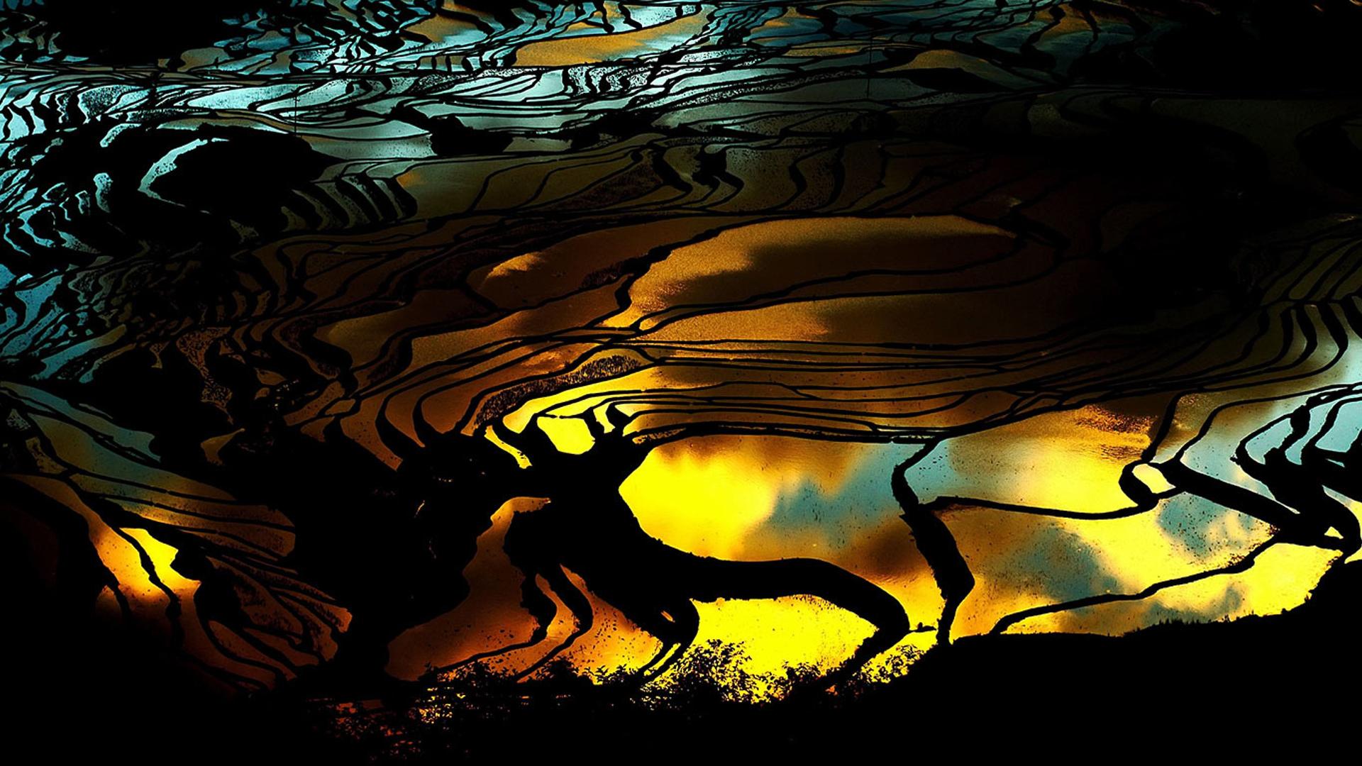 【今日小暑】火烧云下的元阳梯田