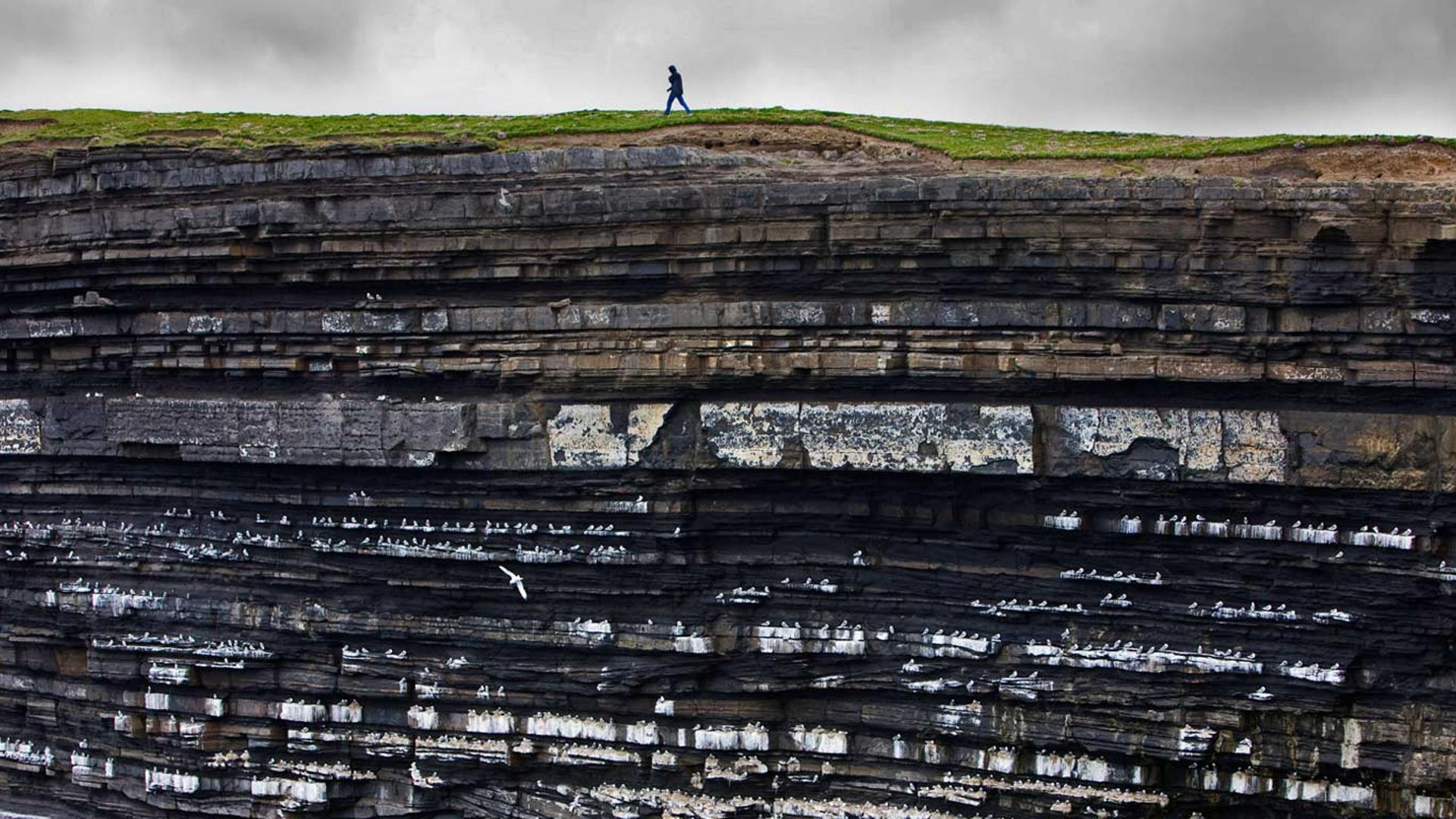 悬崖上的三趾鸥巢穴，爱尔兰