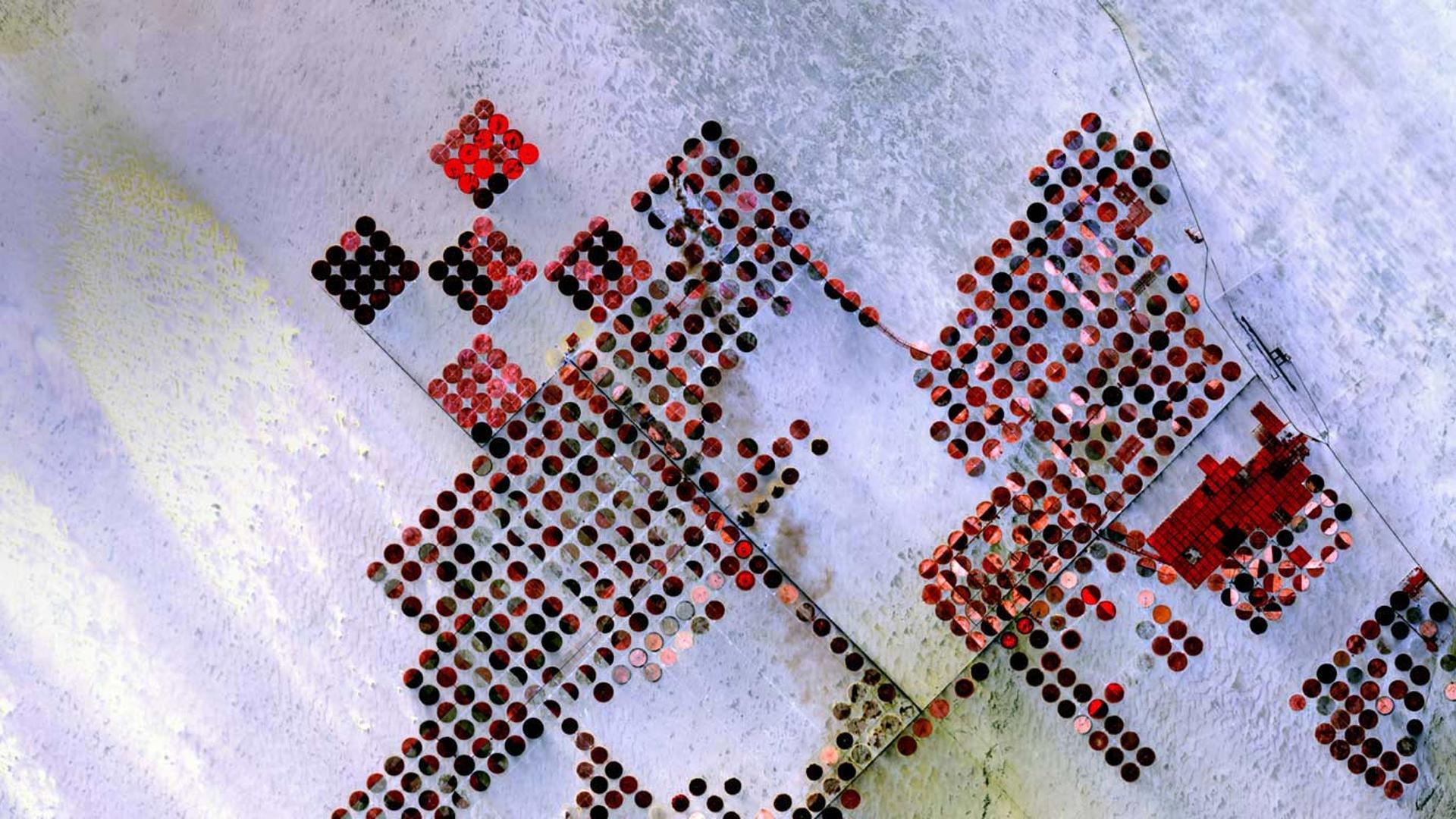 埃及南部的灌溉系统