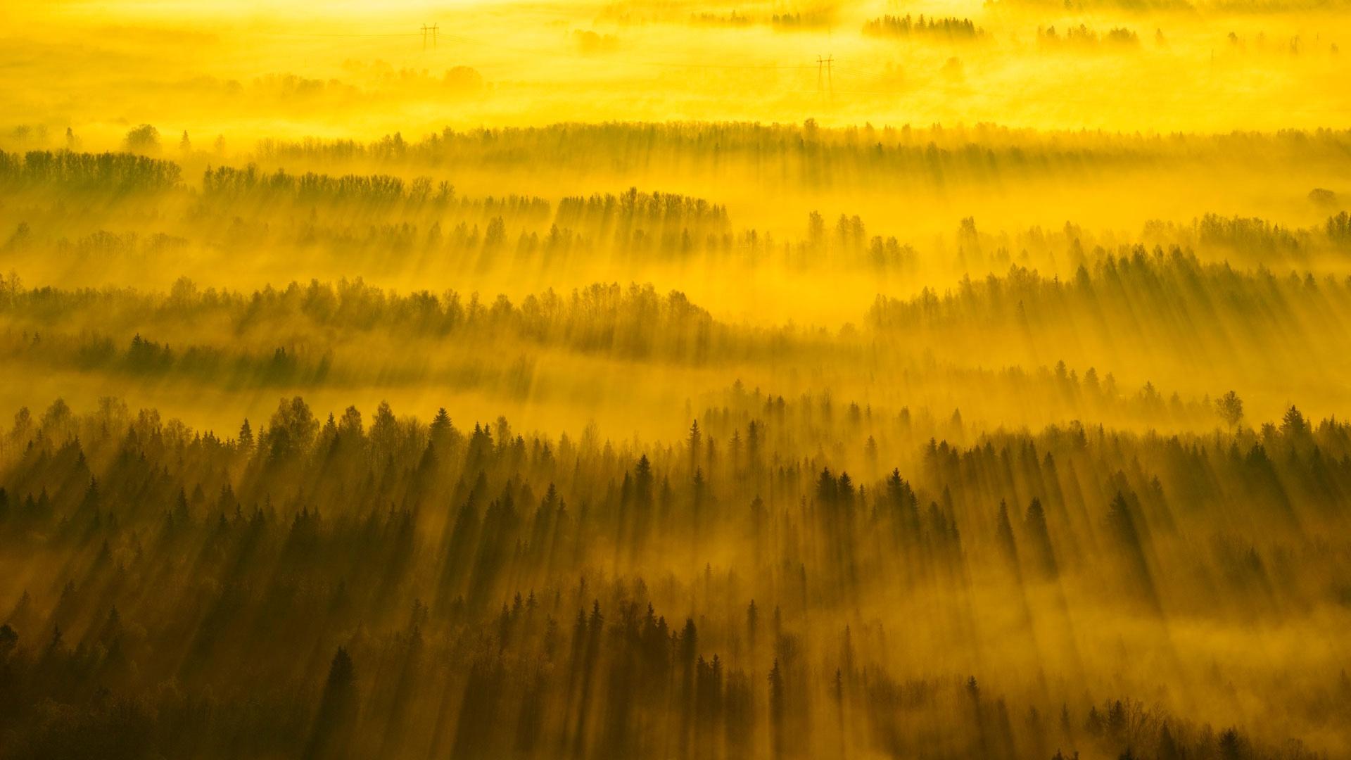 横跨塔尔图县的阳光，爱沙尼亚