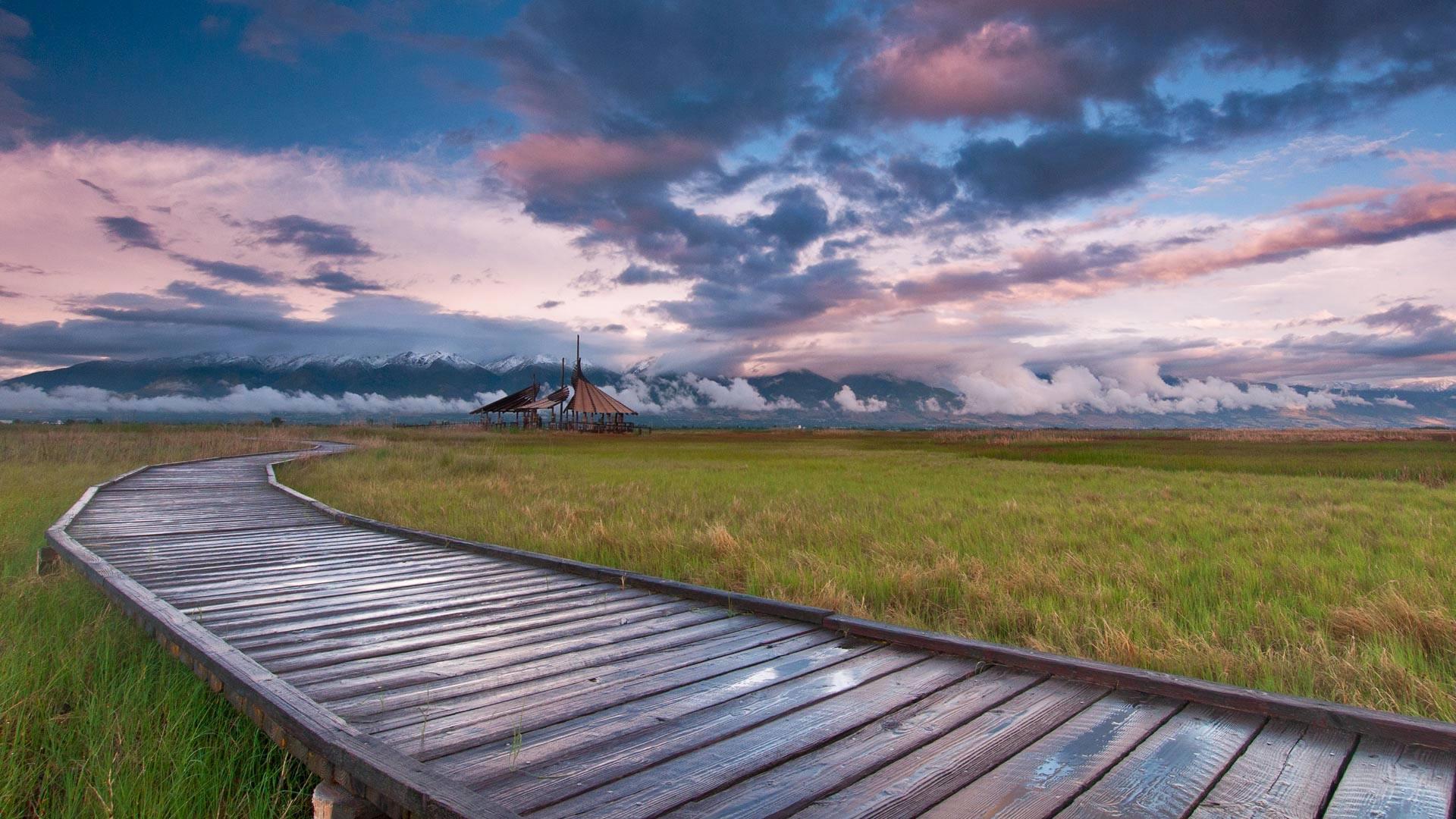 大盐湖肖尔兰兹自然保护区，美国犹他州