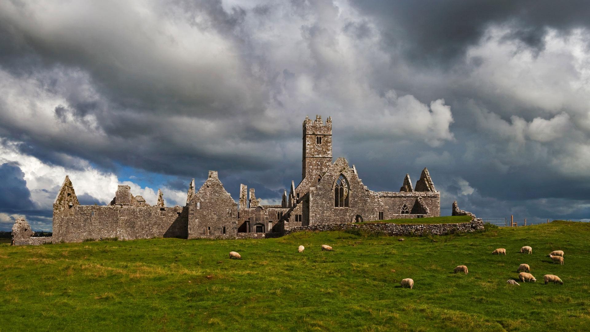 Ross Errilly Friary，爱尔兰戈尔韦郡