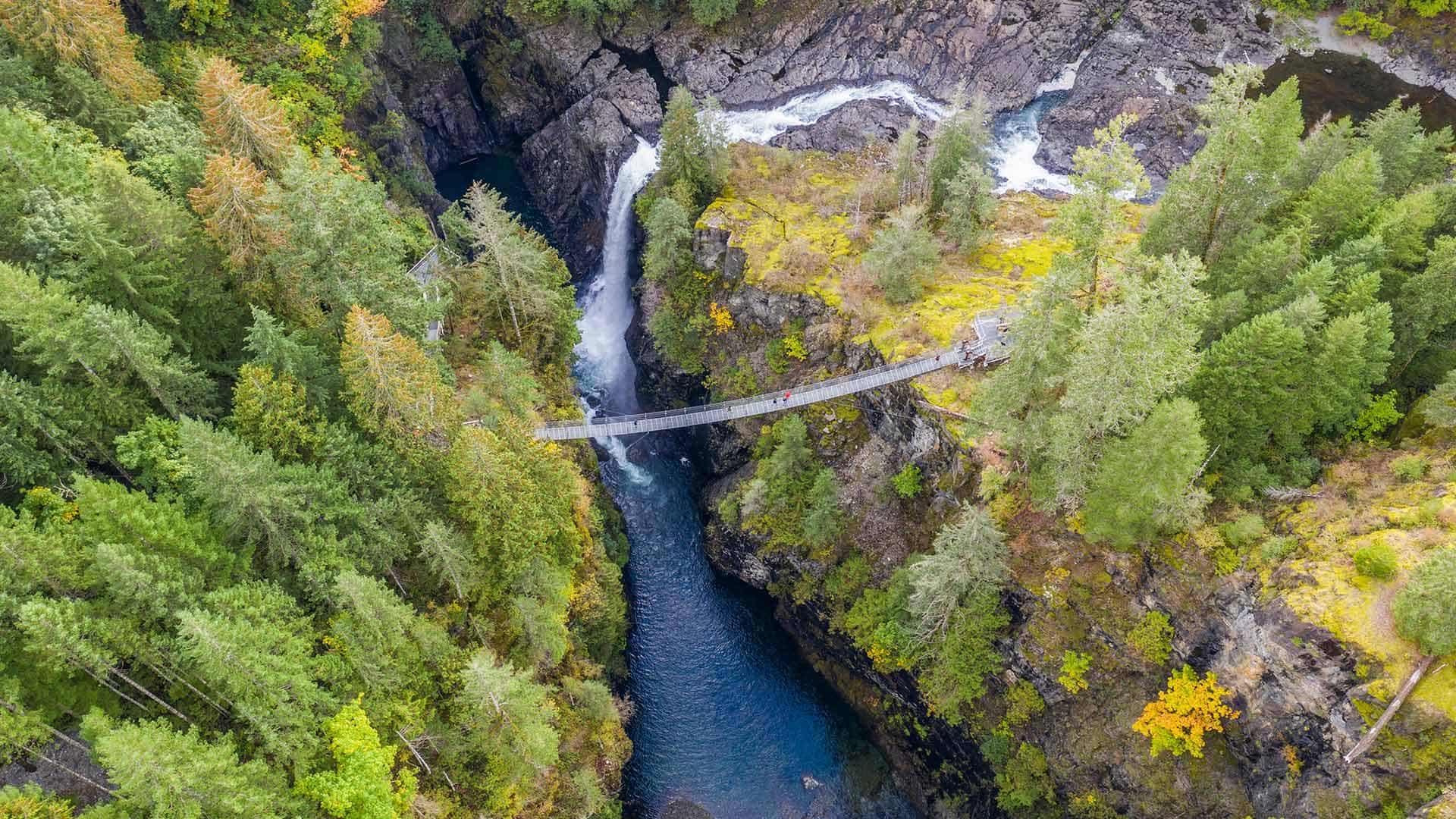 温哥华岛麋鹿瀑布吊桥鸟瞰图，加拿大