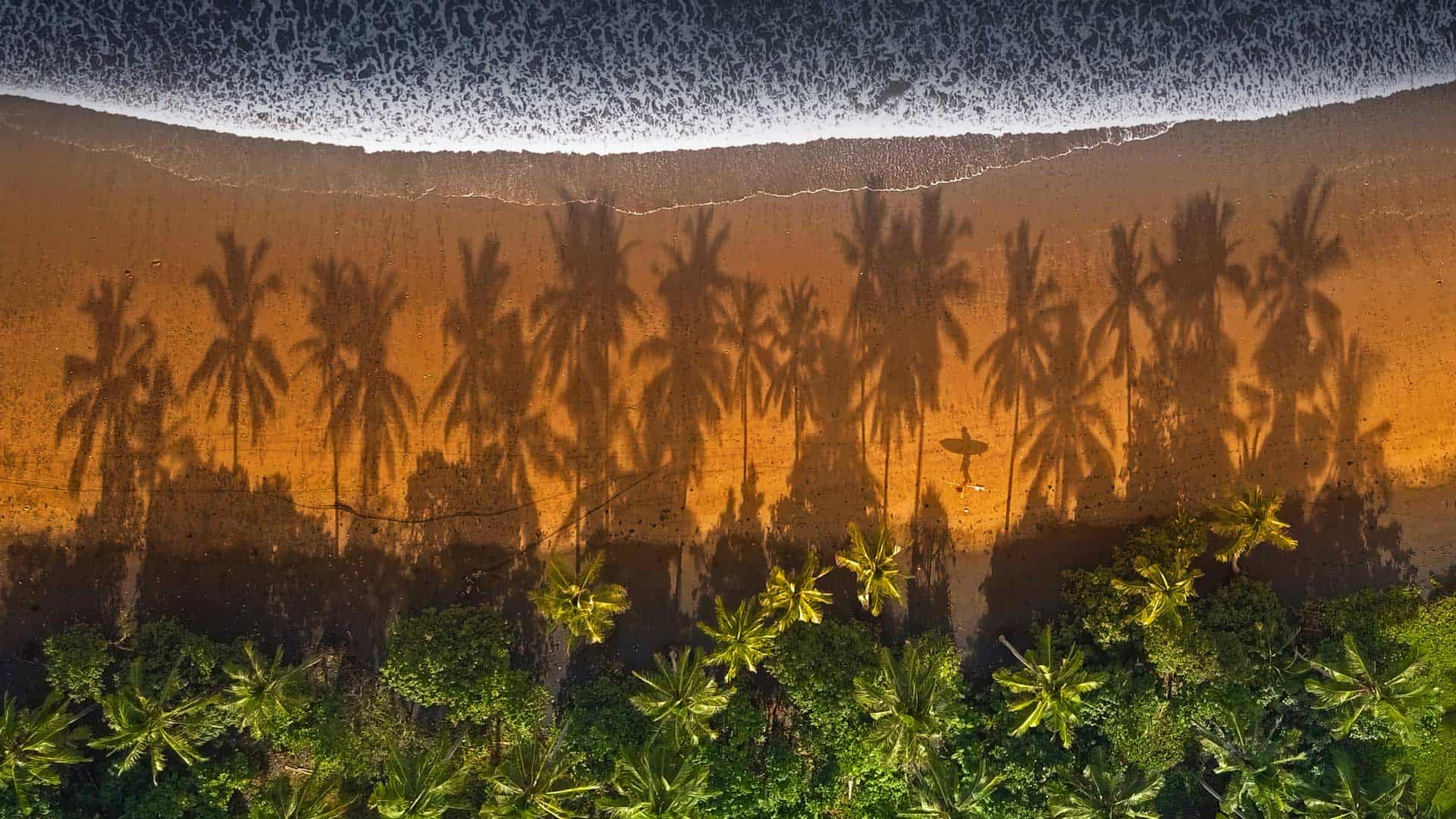 梅德威海滩棕榈树间散步的冲浪者，印尼巴厘岛