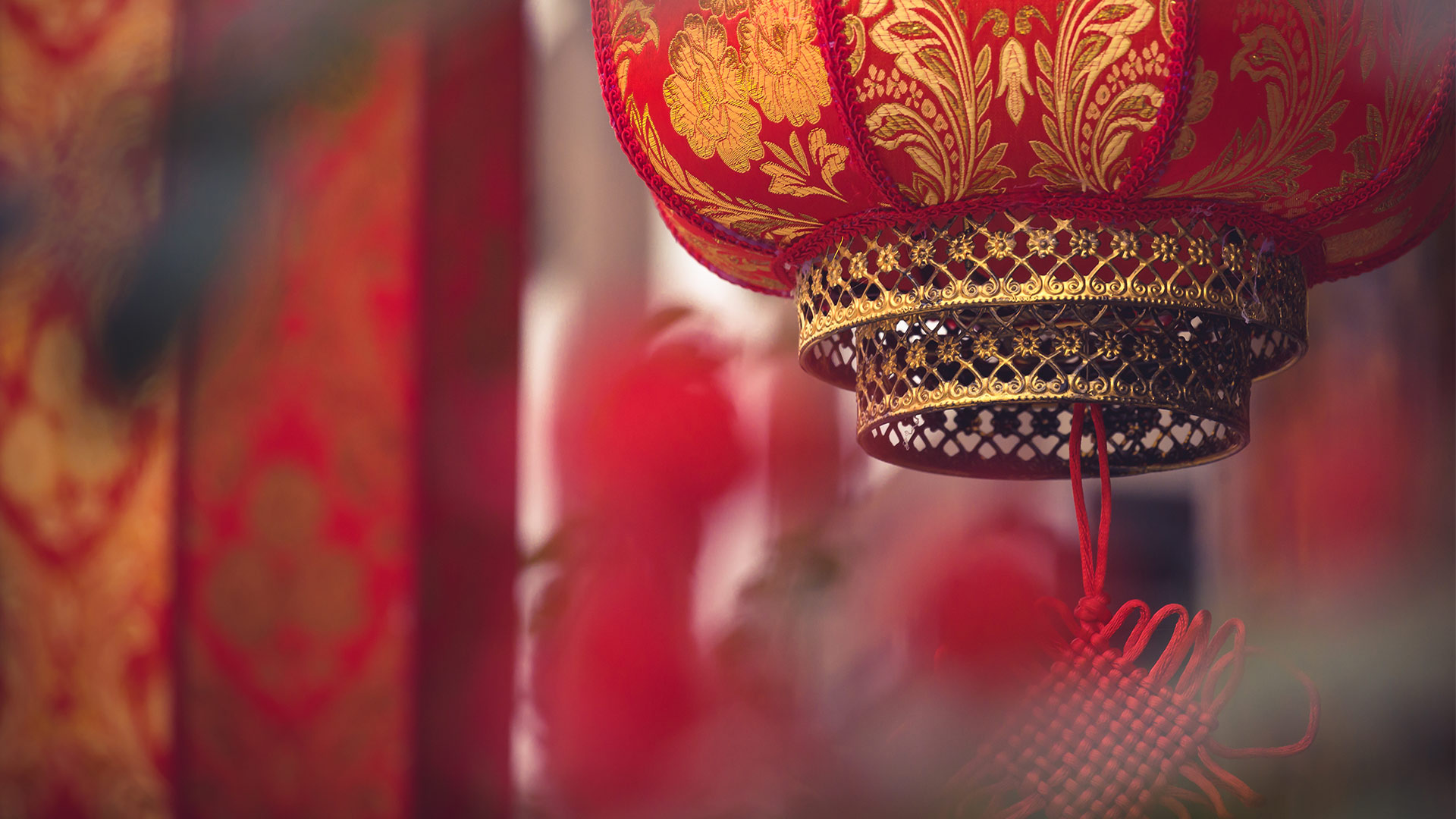 成都街头的红灯笼，中国四川省（© kiszon pascal/Moment/Getty Images）