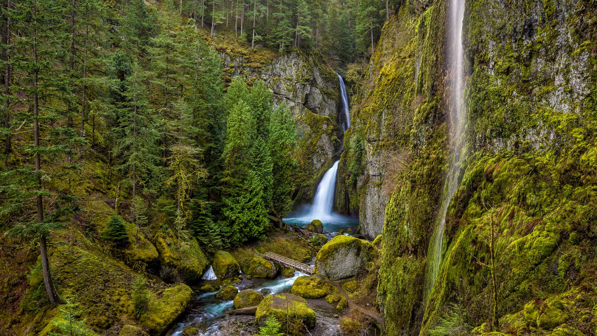 Wahclella Falls，哥伦比亚河峡谷，俄勒冈州，美国
