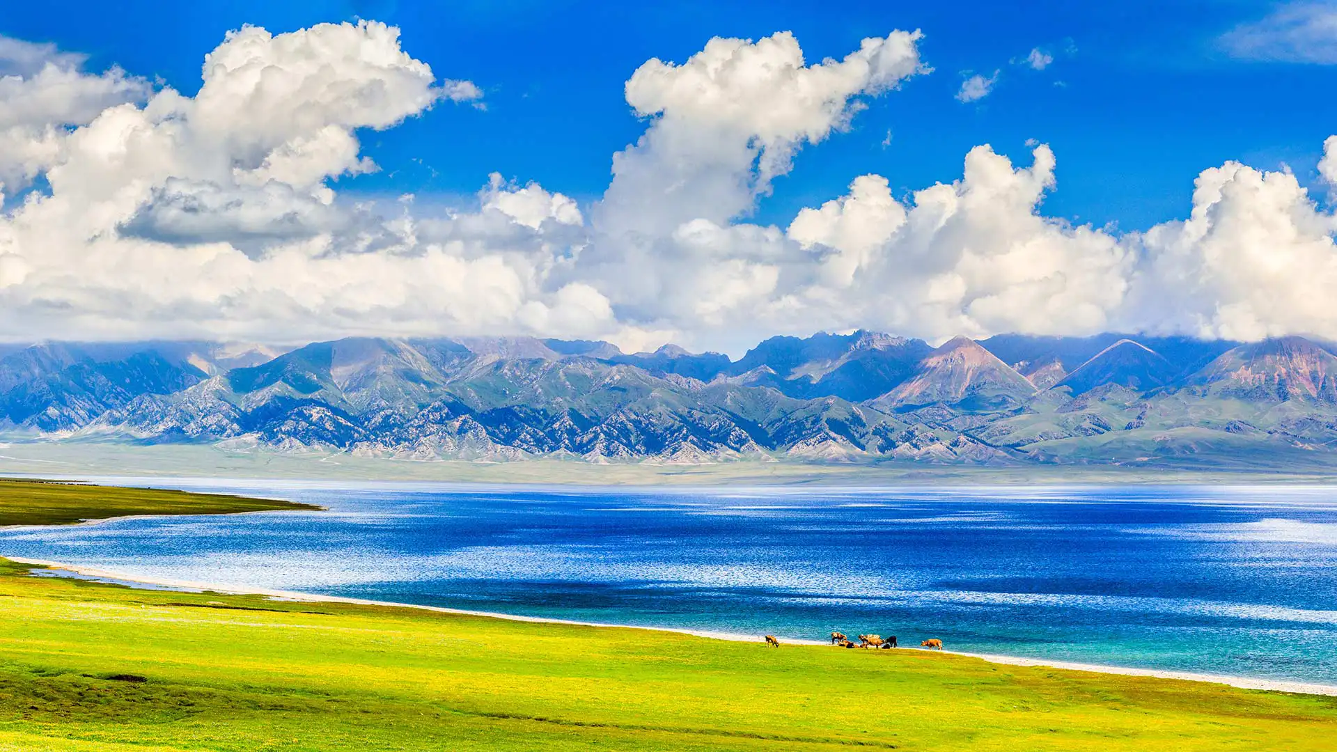 夏季的赛里木湖，博尔塔拉蒙古自治州博乐县, 中国新疆维吾尔自治区